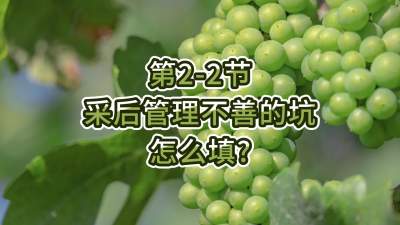 第2-2节-采后管理不善的坑，怎么填？