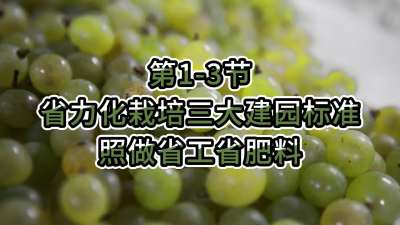 第1-3节-省力化栽培三大建园标准，照做省工省肥料