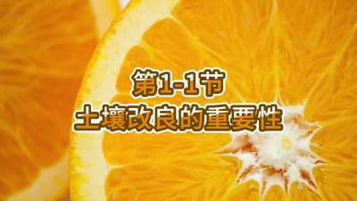 第1-1节-土壤改良的重要性