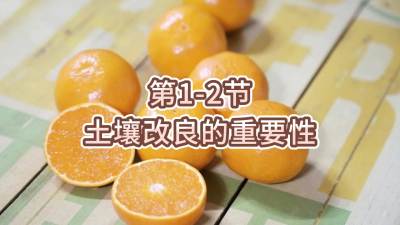 第1-2节-土壤改良的重要性
