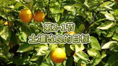 第2-1节-土壤改良的目标