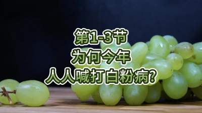第1-3节-为何今年人人喊打白粉病？