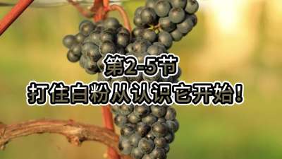 第2-5节-打住白粉病从认识它开始！