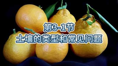 第3-1节-土壤的类型和常见问题