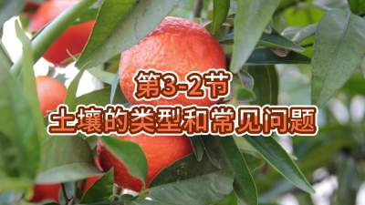 第3-2节-土壤的类型和常见问题