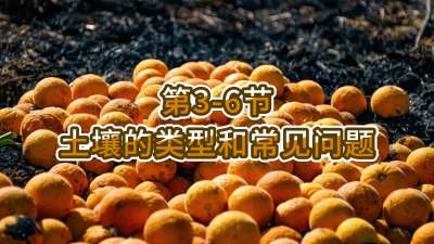 第3-6节-土壤的类型和常见问题