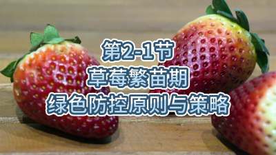 第2-1节-草莓繁苗期绿色防控原则与策略