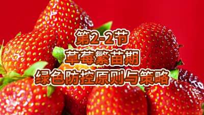 第2-2节-草莓繁苗期绿色防控原则与策略