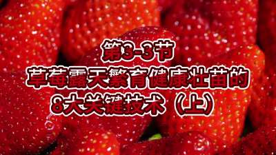 第3-3节-草莓露天繁育健康壮苗的8大关键技术（上）