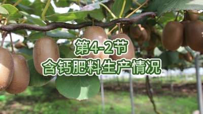 第4-2节-含钙肥料生产情况