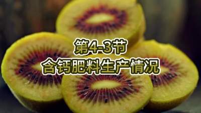第4-3节-含钙肥料生产情况