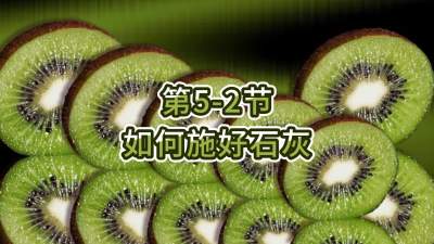 第5-2节-如何施好石灰