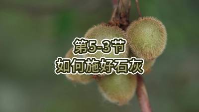 第5-3节-如何施好石灰