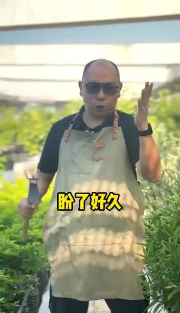 学农号上线！农技创作者们快来呀！