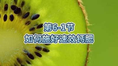 第6-1节-如何施好速效钙肥