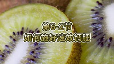 第6-2节-如何施好速效钙肥