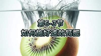 第6-3节-如何施好速效钙肥