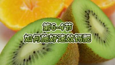 第6-4节-如何施好速效钙肥