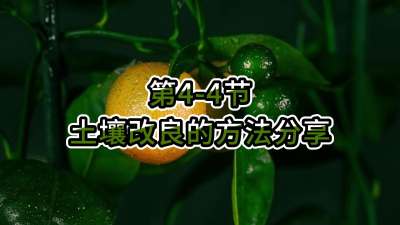 第4-4节-土壤改良的方法分享