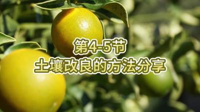 第4-5节-土壤改良的方法分享