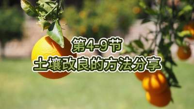第4-9节-土壤改良的方法分享