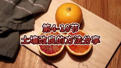 第4-10节-土壤改良的方法分享