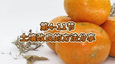 第4-11节-土壤改良的方法分享