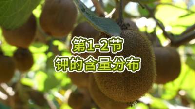 第1-2节-钾的含量分布