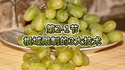 第2-1节-根域限制的3大技术