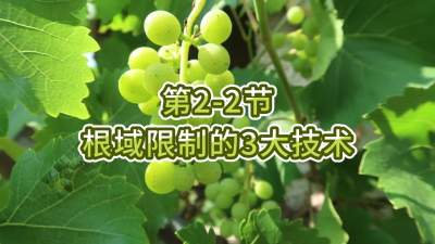 第2-2节-根域限制的3大技术
