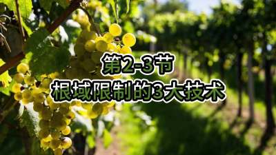 第2-3节-根域限制的3大技术