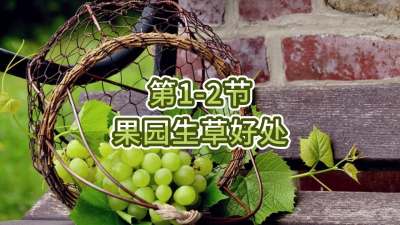 第1-2节-果园生草好处