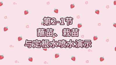 第2-1节-蘸苗、栽苗与定根水喷水演示
