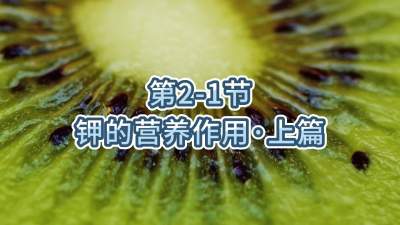 第2-1节-钾的营养作用&bull;上篇