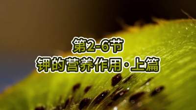 第2-6节-钾的营养作用&bull;上篇