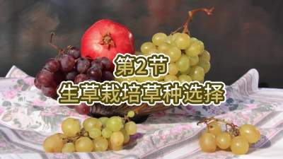 第2节-生草栽培草种选择