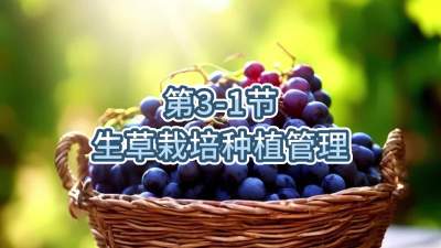 第3-1节-生草栽培种植管理