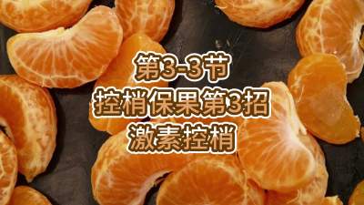 第3-3节-控梢保果第3招-激素控梢