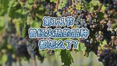第1-1节-曾经火热的品种都怎么了？