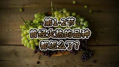 第1-2节-曾经火热的品种都怎么了？