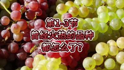 第1-3节-曾经火热的品种都怎么了？