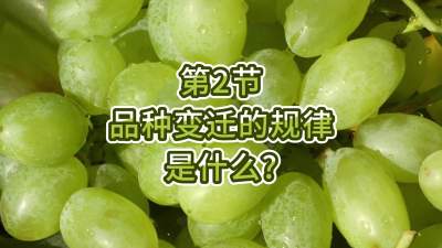 第2节-品种变迁的规律是什么？