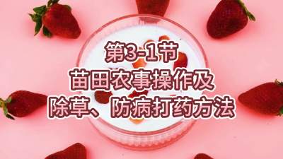 第3-1节-苗田农事操作及除草、防病打药方法