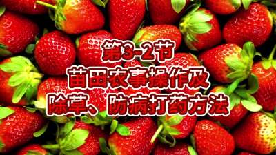 第3-2节-苗田农事操作及除草、防病打药方法