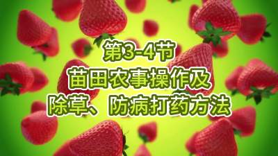 第3-4节-苗田农事操作及除草、防病打药方法