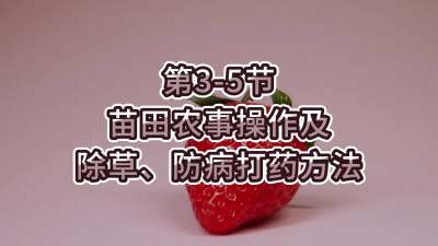 第3-5节-苗田农事操作及除草、防病打药方法