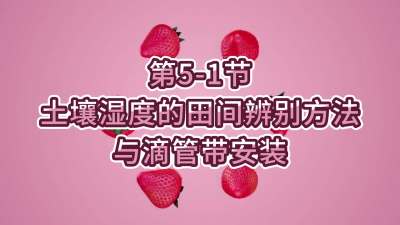 第5-1节-土壤湿度的田间辨别方法与滴管带安装