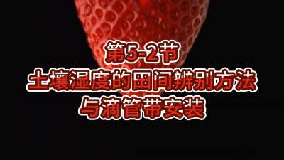 第5-2节-土壤湿度的田间辨别方法与滴管带安装