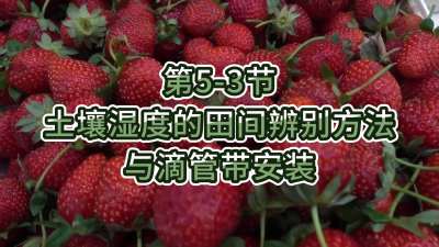 第5-3节-土壤湿度的田间辨别方法与滴管带安装