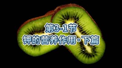 第3-1节-钾的营养作用&bull;下篇